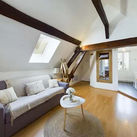 Appartement Deschainets Gare Et Centre Historique Troyes