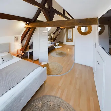 Apartment Deschainets Gare Et Centre Historique Troyes